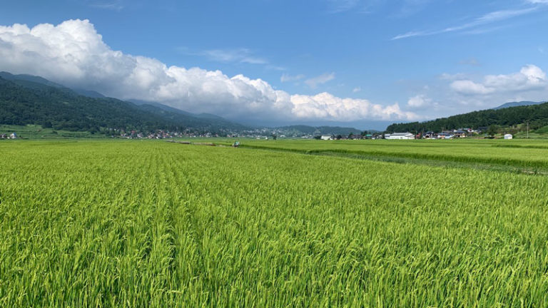 長野県飯山市のお米がおいしい理由。ふるさと納税の返礼品としても人気！ いいやまの種 飯山市農業情報総合サイト